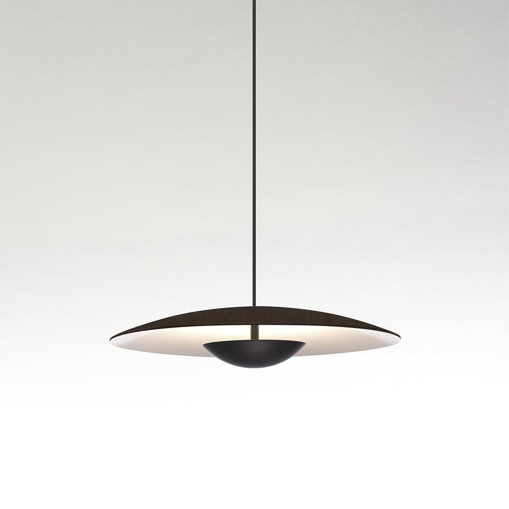 Ginger Pendant light