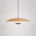 Ginger Pendant light