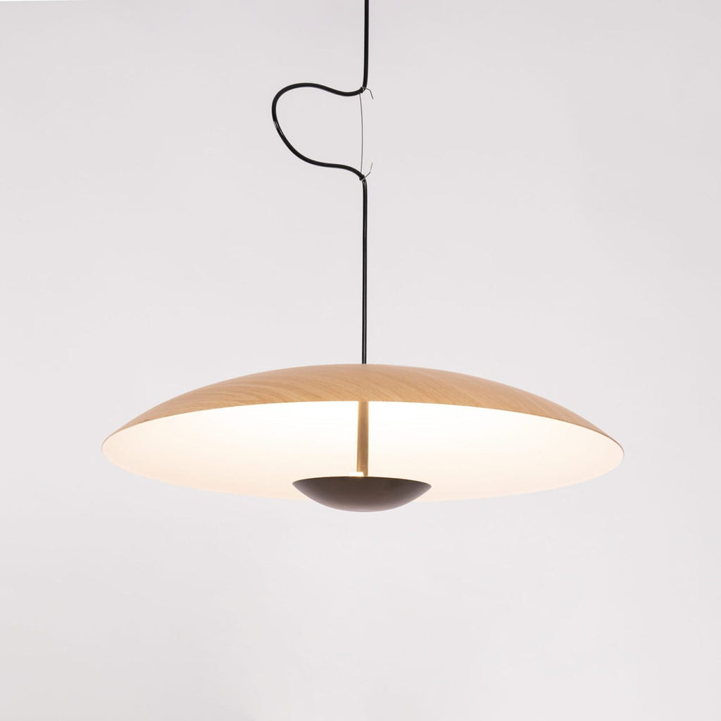 Ginger Pendant light