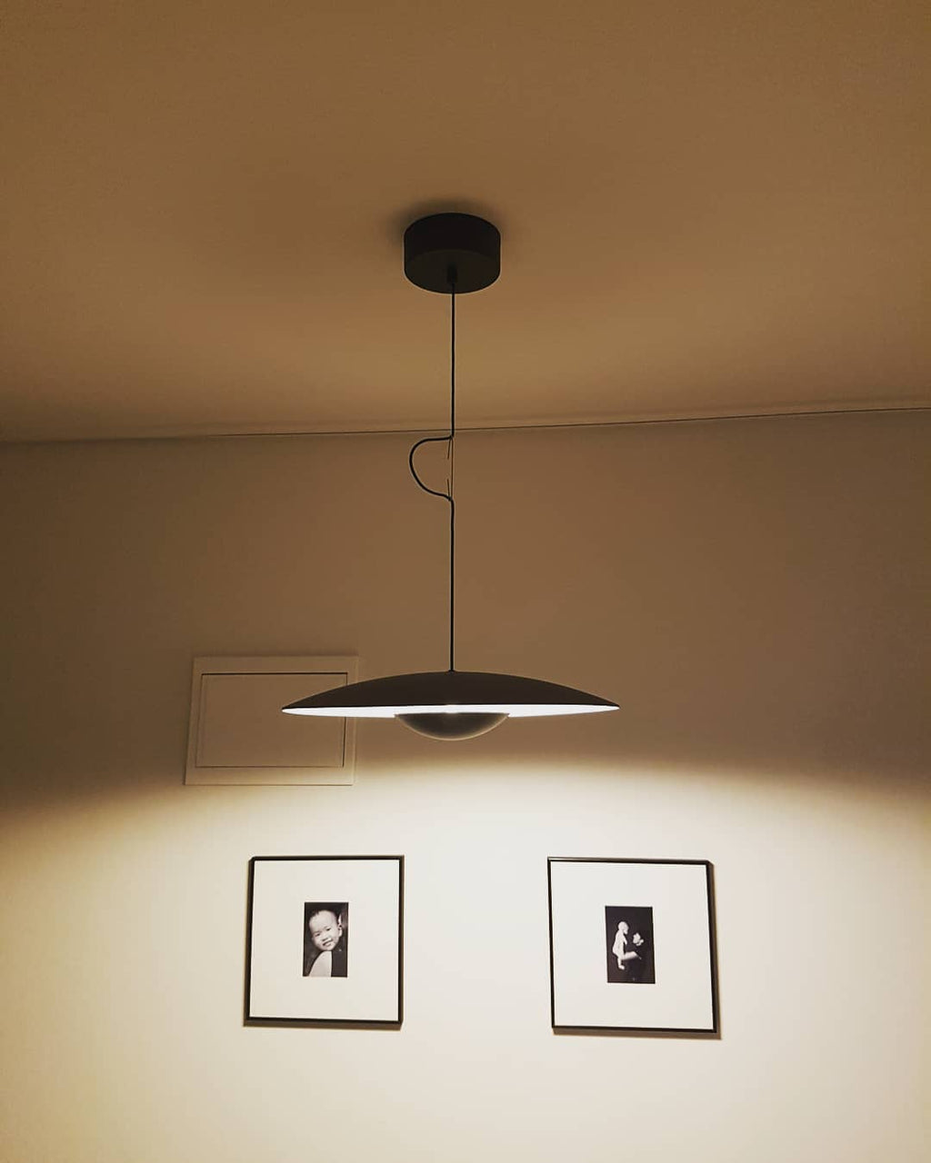 Ginger Pendant light