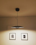 Ginger Pendant light