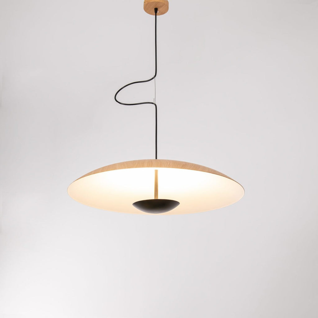 Ginger Pendant light