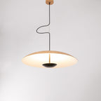 Ginger Pendant light
