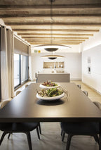 Ginger Pendant light