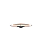 Ginger Pendant light