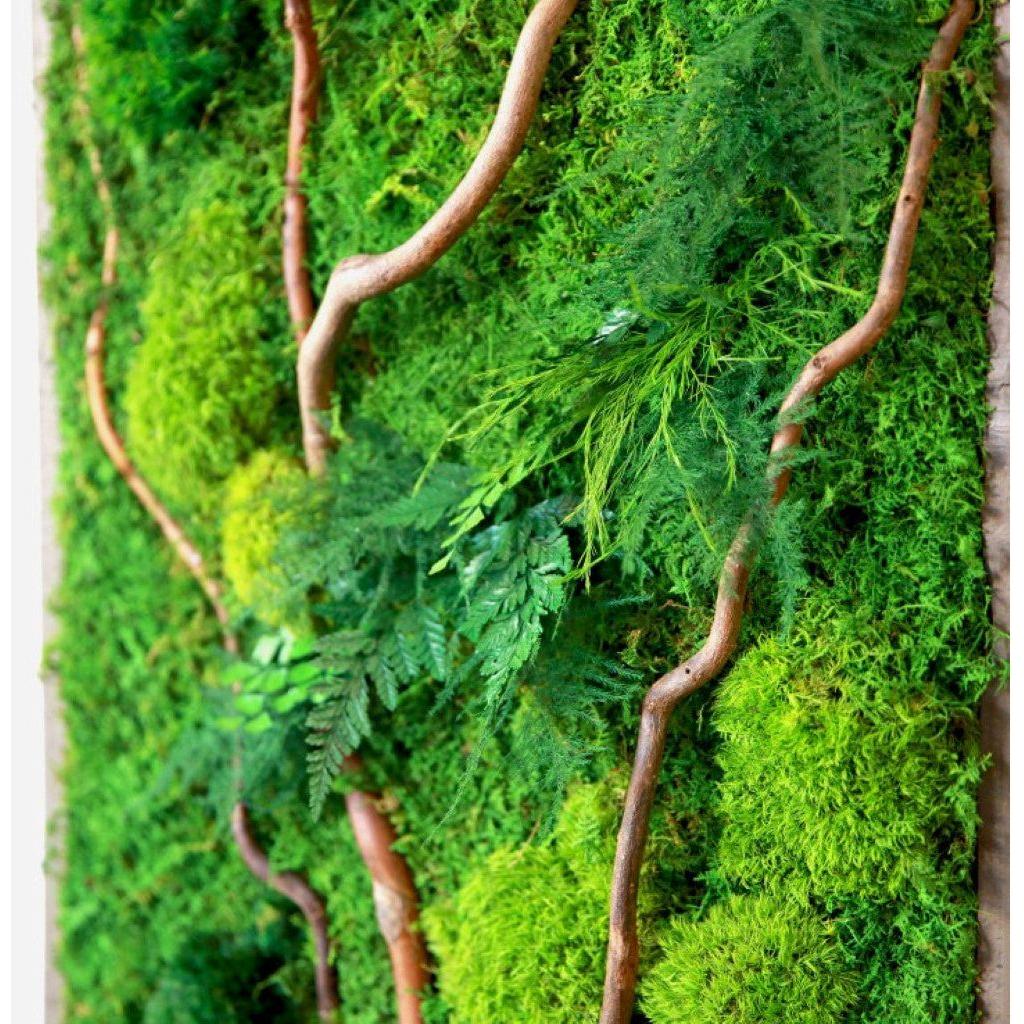 Natural Branch Moss & Ferns Plant Painting Handmade 18” x 40”