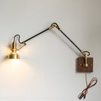Kane Swing Plug In Wall Lamp