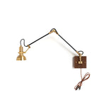 Kane Swing Plug In Wall Lamp