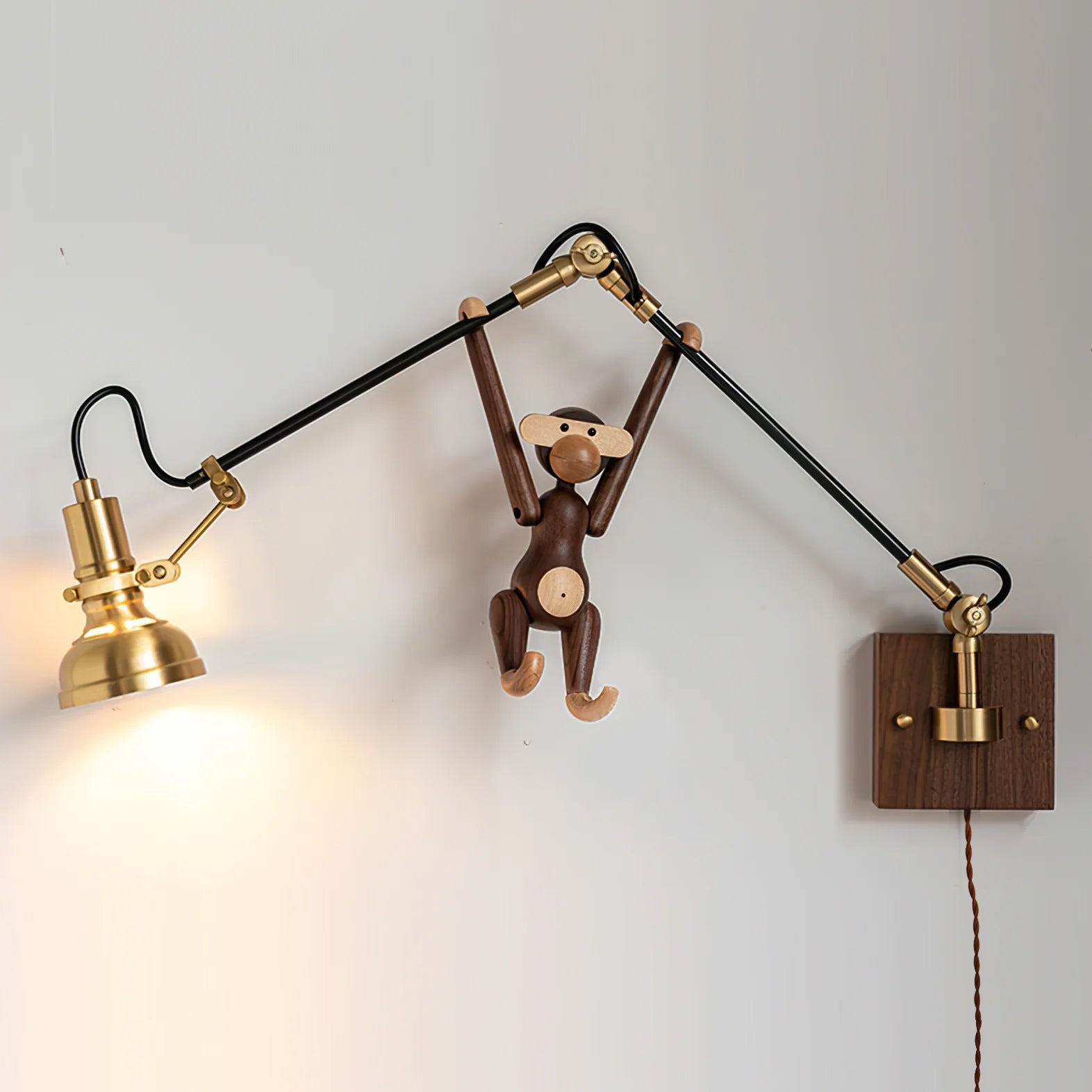 Kane Swing Plug In Wall Lamp