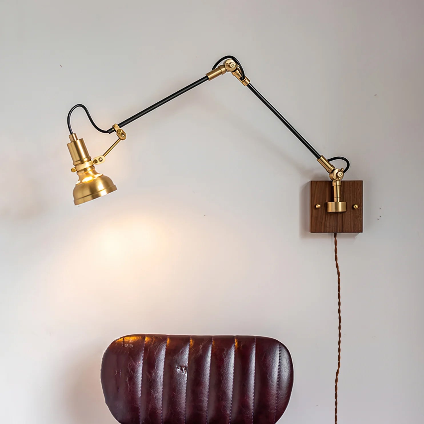 Kane Swing Plug In Wall Lamp