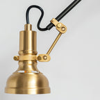 Kane Swing Plug In Wall Lamp