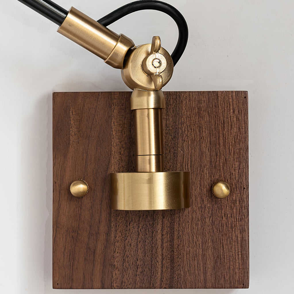 Kane Swing Plug In Wall Lamp