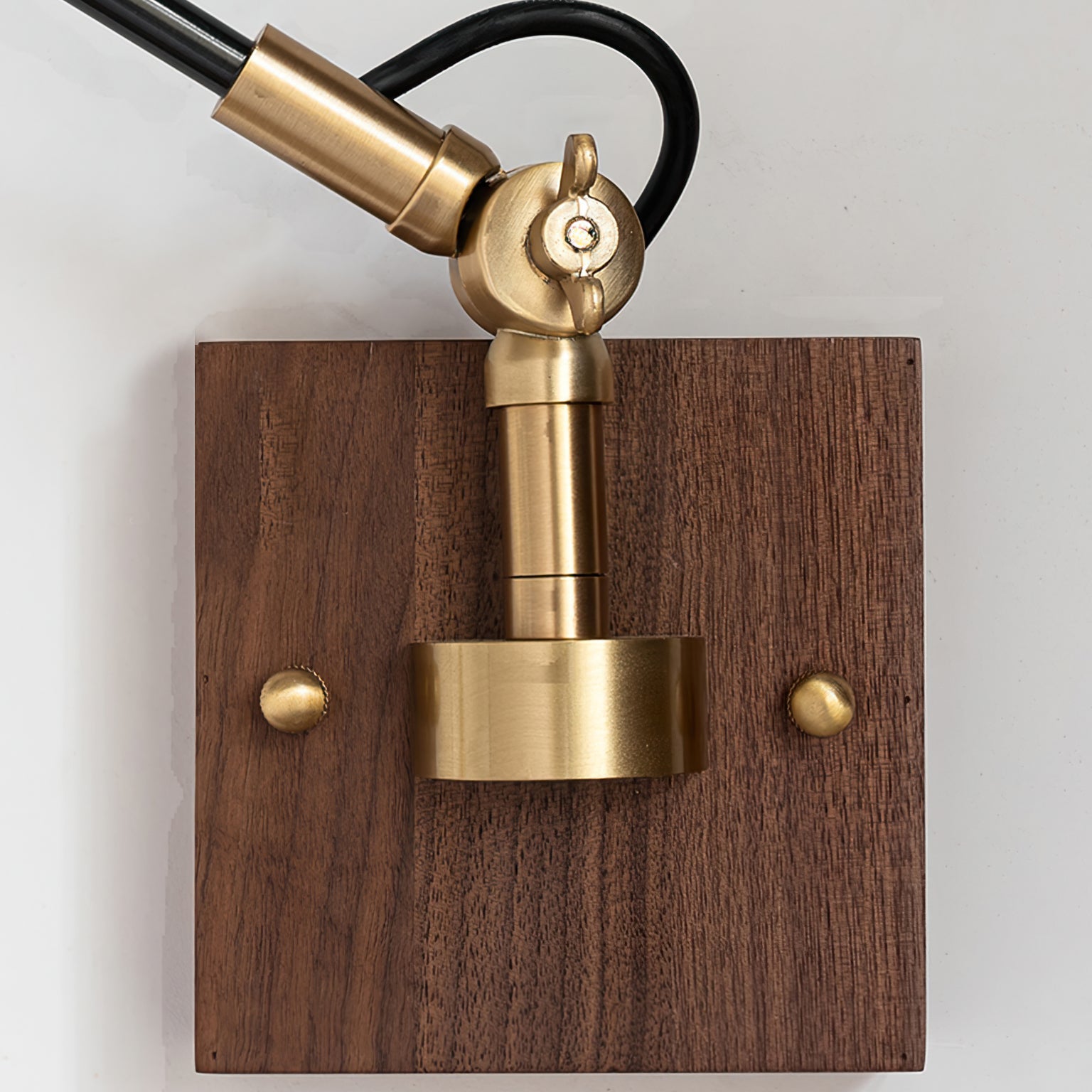 Kane Swing Plug In Wall Lamp