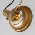Kane Swing Plug In Wall Lamp
