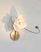 Lure Sconce