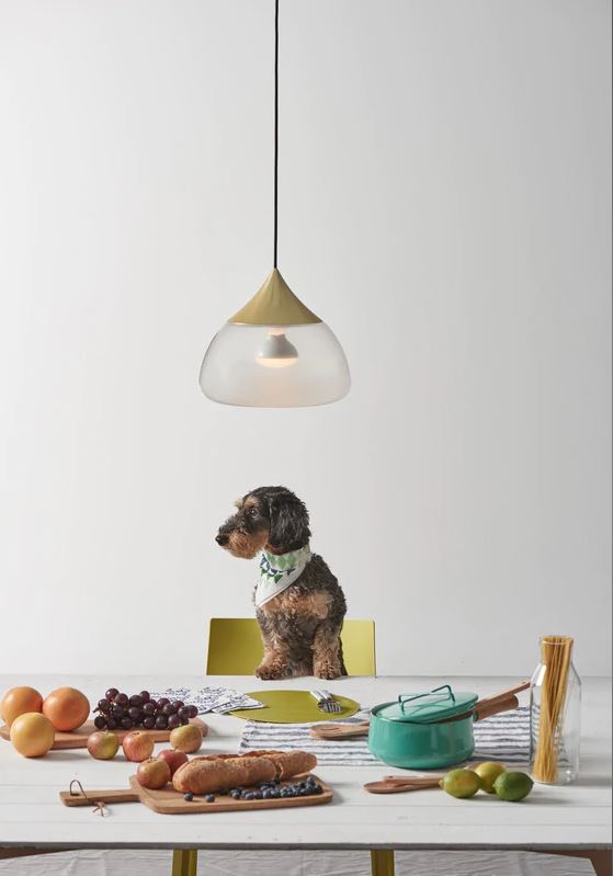 Medium: 7.1 in diameter / Brass Mist Pendant Light OPEN BOX