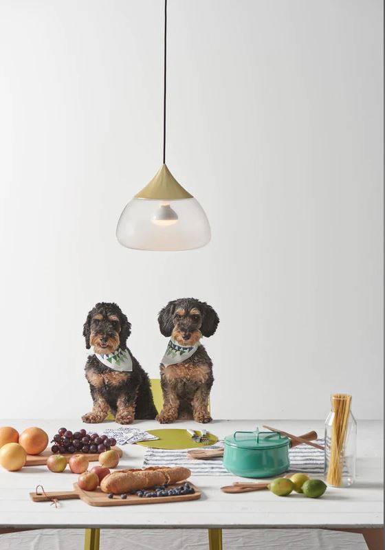 Medium: 7.1 in diameter / Brass Mist Pendant Light OPEN BOX