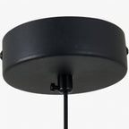 Morphe Pendant Light