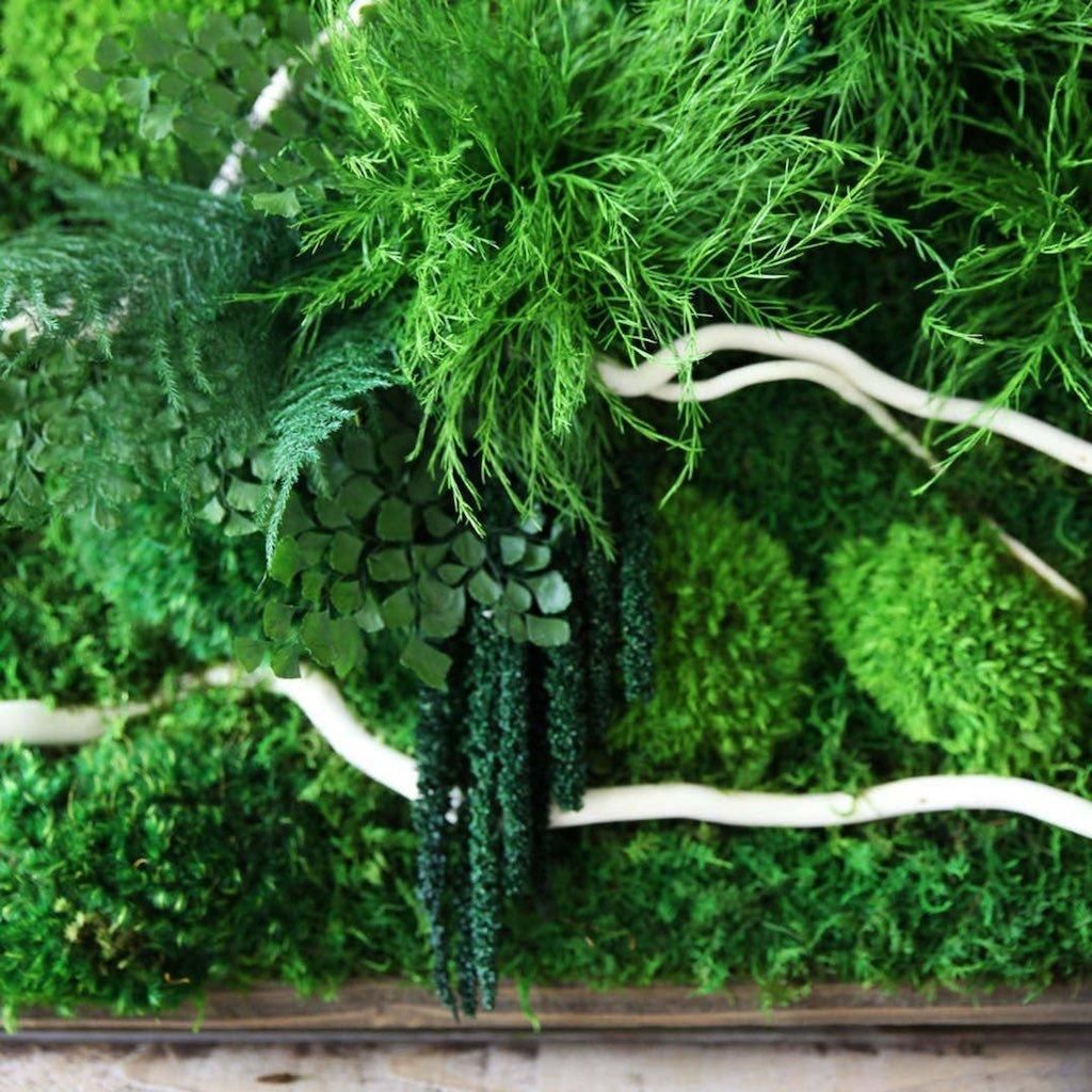 Handmade 40” x 18” White Branch Moss & Ferns Plant Painting