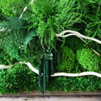 Handmade 40” x 18” White Branch Moss & Ferns Plant Painting