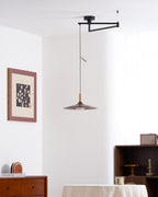 Nano Swing Arm Pendant Light