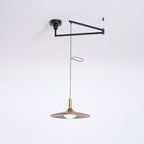 Nano Swing Arm Pendant Light