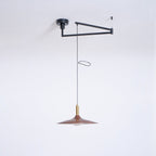 Nano Swing Arm Pendant Light
