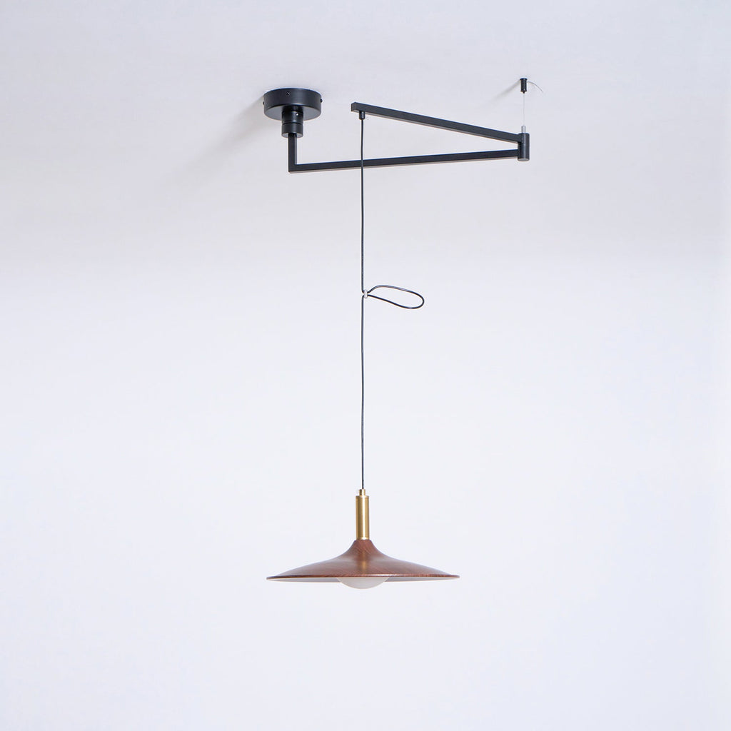 Nano Swing Arm Pendant Light