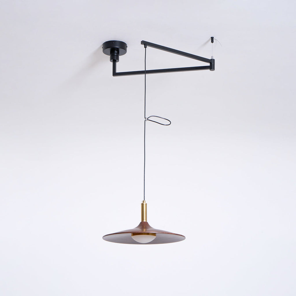 Nano Swing Arm Pendant Light