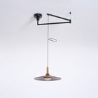 Nano Swing Arm Pendant Light