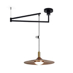 Nano Swing Arm Pendant Light