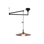 Nano Swing Arm Pendant Light