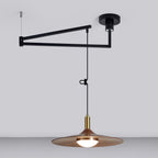 Nano Swing Arm Pendant Light