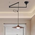 Nano Swing Arm Pendant Light