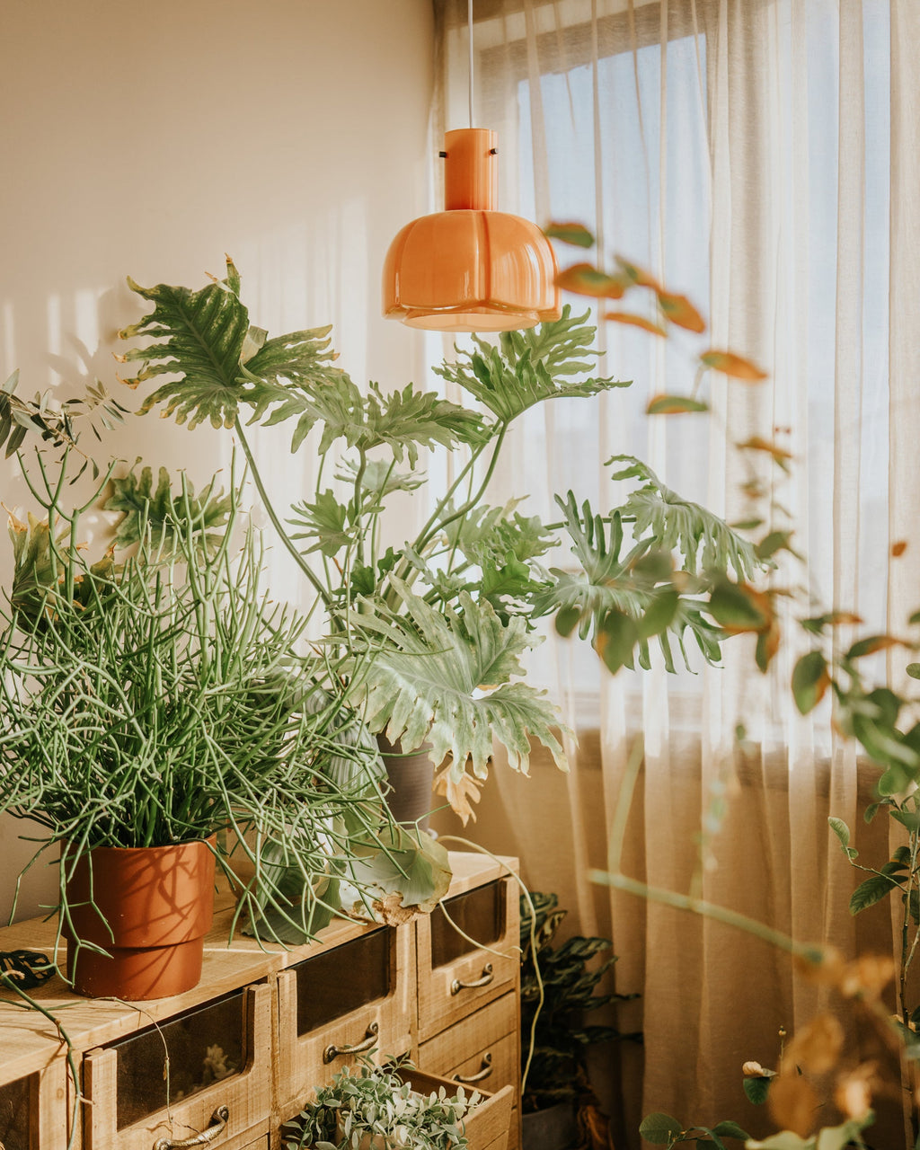 Paolina Pendant Light