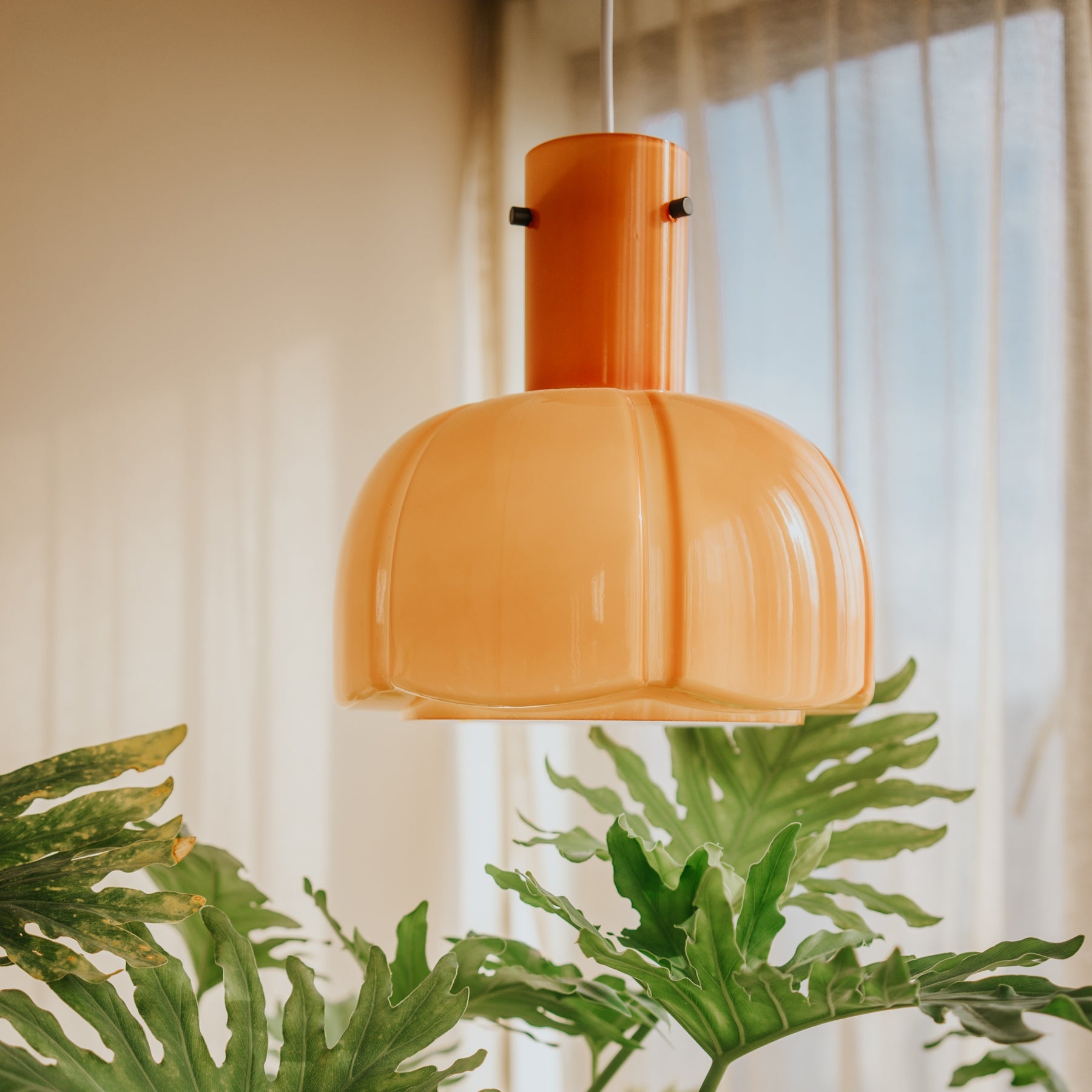 Paolina Pendant Light