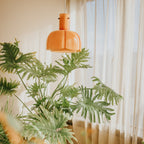 Paolina Pendant Light