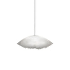 Potshi Pendant Light