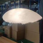 Potshi Pendant Light