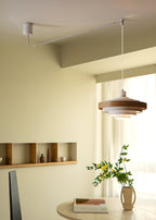 Rancho Swing Arm Pendant Light
