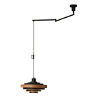 Rancho Swing Arm Pendant Light