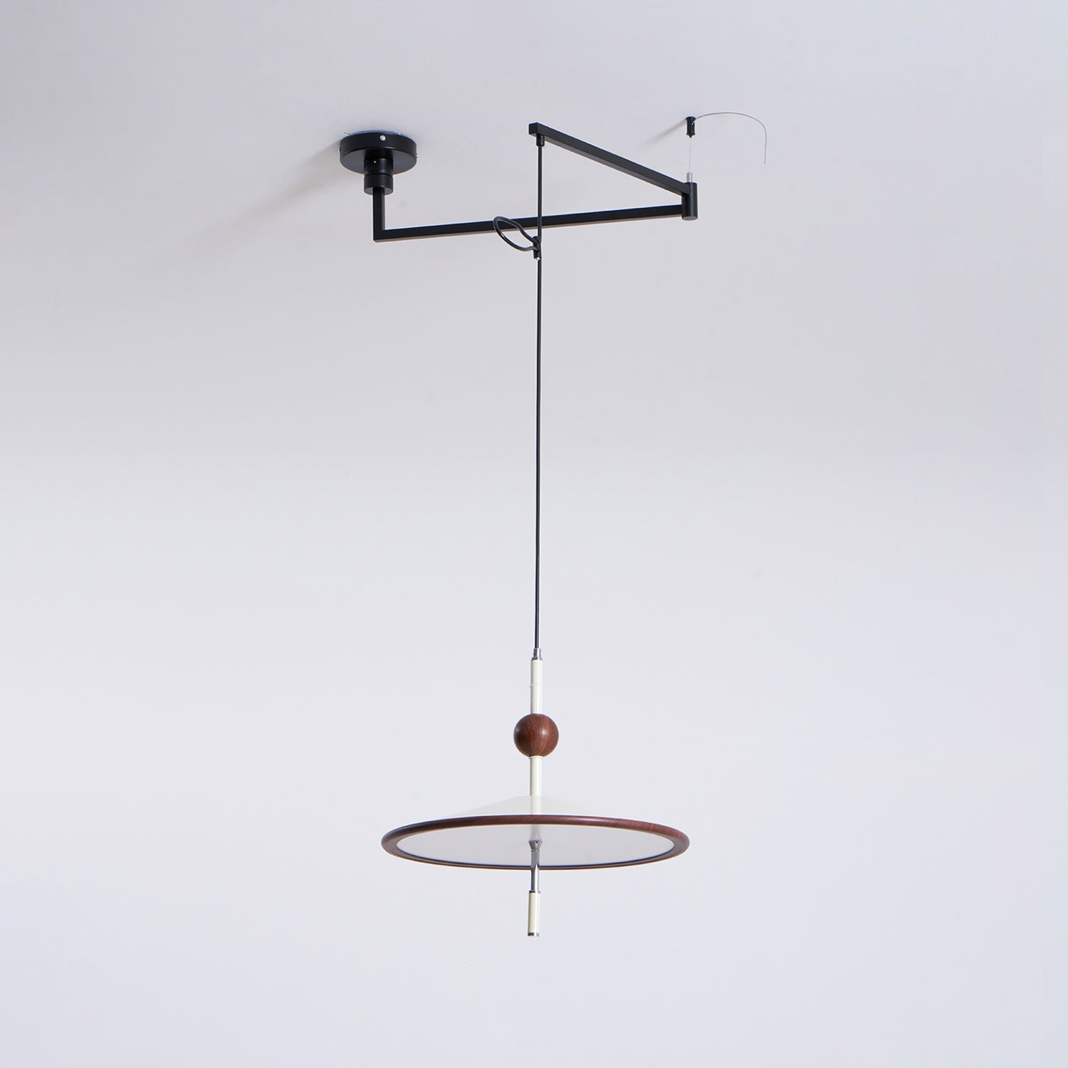 Remy Swing Arm Pendant Light