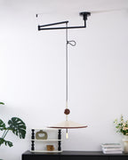 Remy Swing Arm Pendant Light