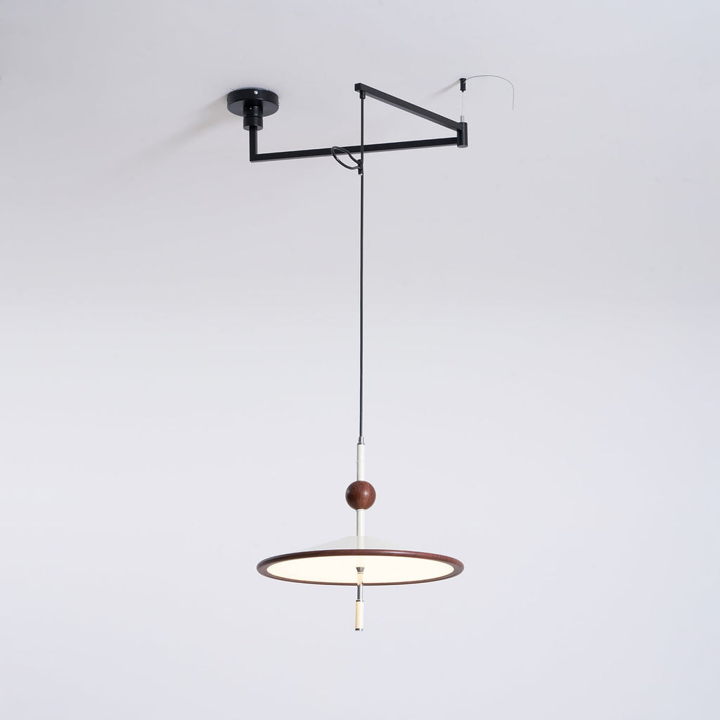 Remy Swing Arm Pendant Light