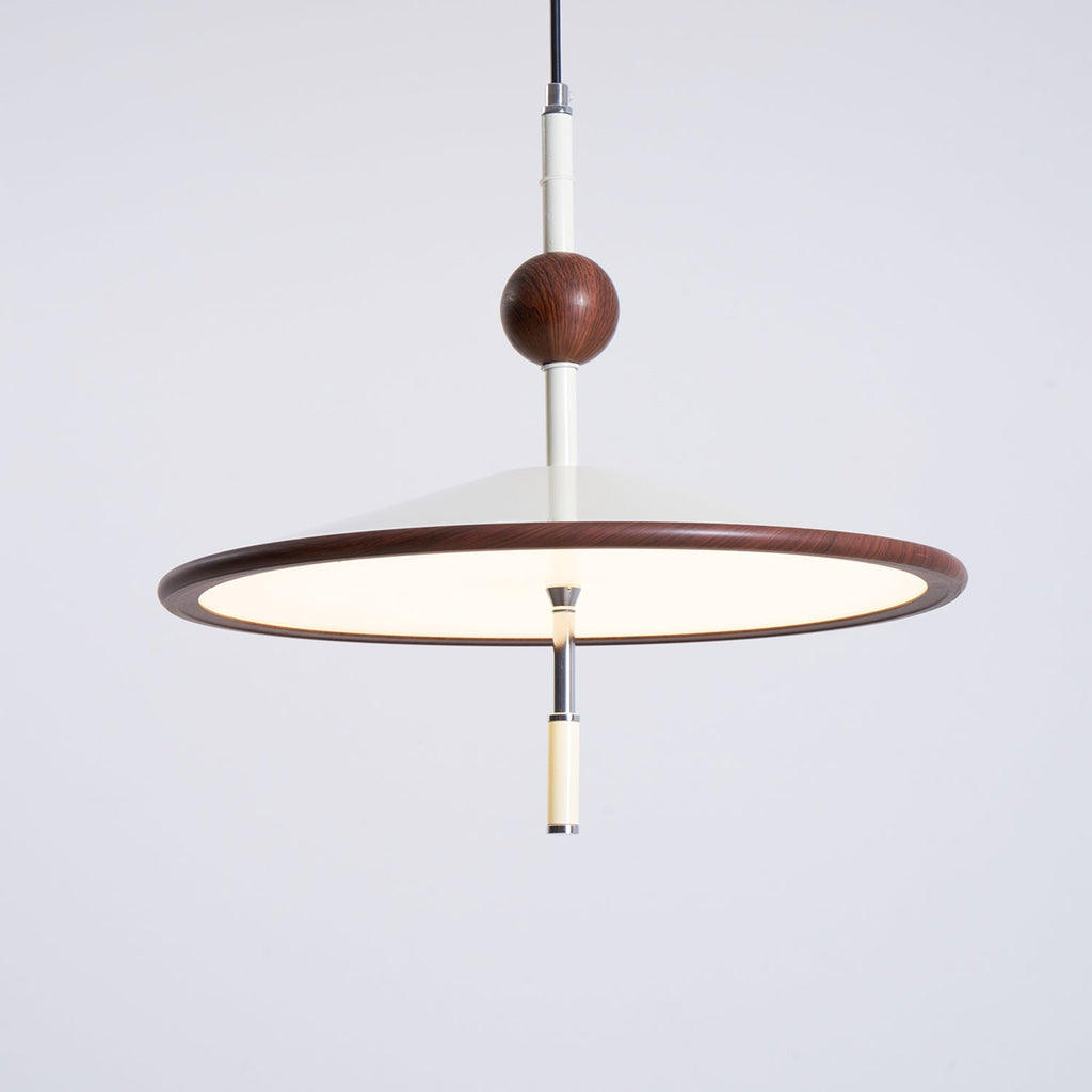 Remy Swing Arm Pendant Light
