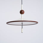 Remy Swing Arm Pendant Light