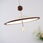 Remy Swing Arm Pendant Light