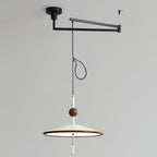 Remy Swing Arm Pendant Light