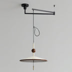 Remy Swing Arm Pendant Light