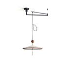Remy Swing Arm Pendant Light